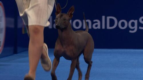 体育商业联盟管理